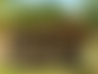 Kaufen Sie ein vorgefertigtes hölzernes Gartenhaus und bauen Sie es leicht zusammen