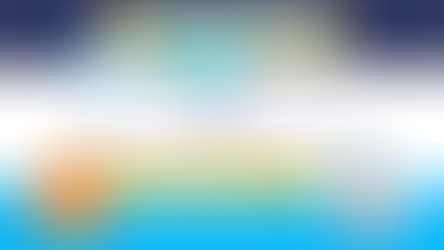 Autodeclaração de inexistência de riscos