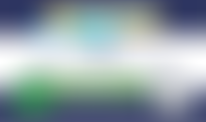 Autodeclaração emitida, e agora?