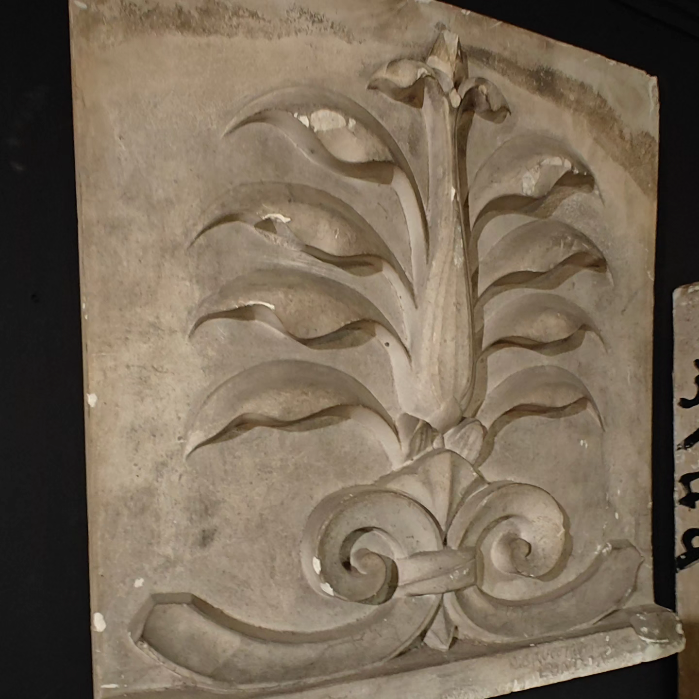D. Brucciani & co plaster anthemion relief