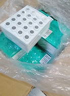 bulk 2032-1.jpg