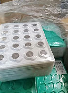 bulk 2032 -2.jpg