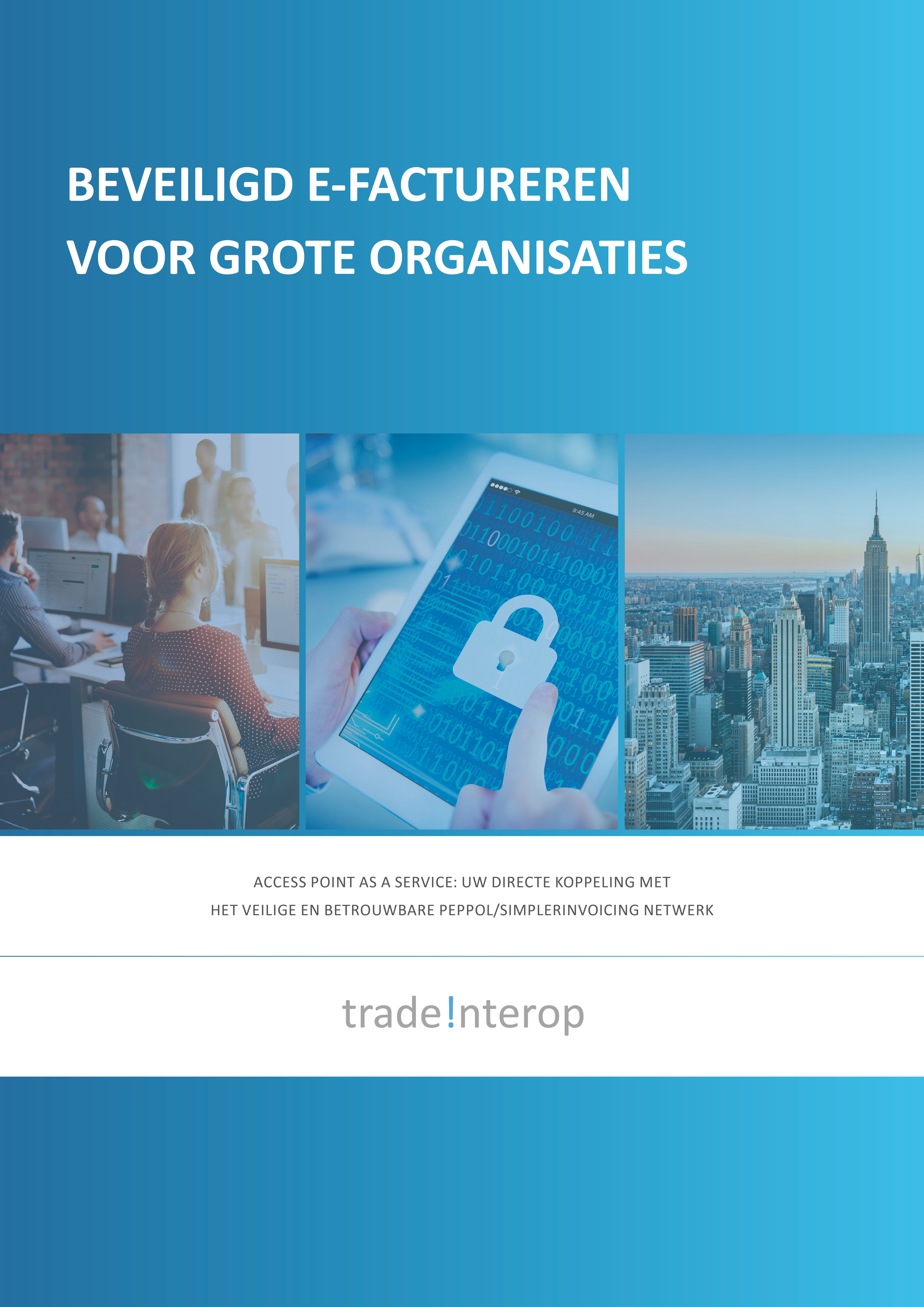 Whitepaper: Beveiligd e-factureren voor grote organisaties