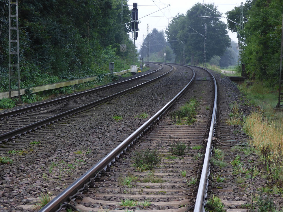 Network rail to fell ’30 more trees’ in Fareham priority habitat