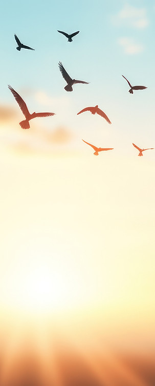 vecteezy_birds-flying-at-sunrise-sky-sce