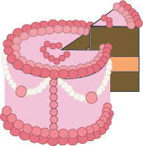 Asset 8-100.jpg