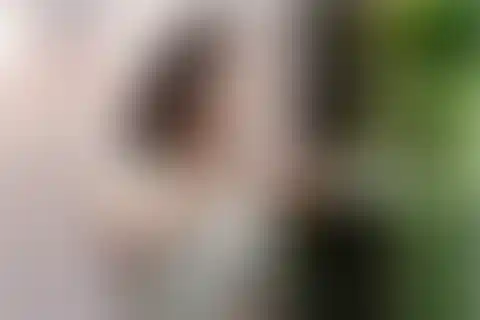 BDF Miracle Moments-2