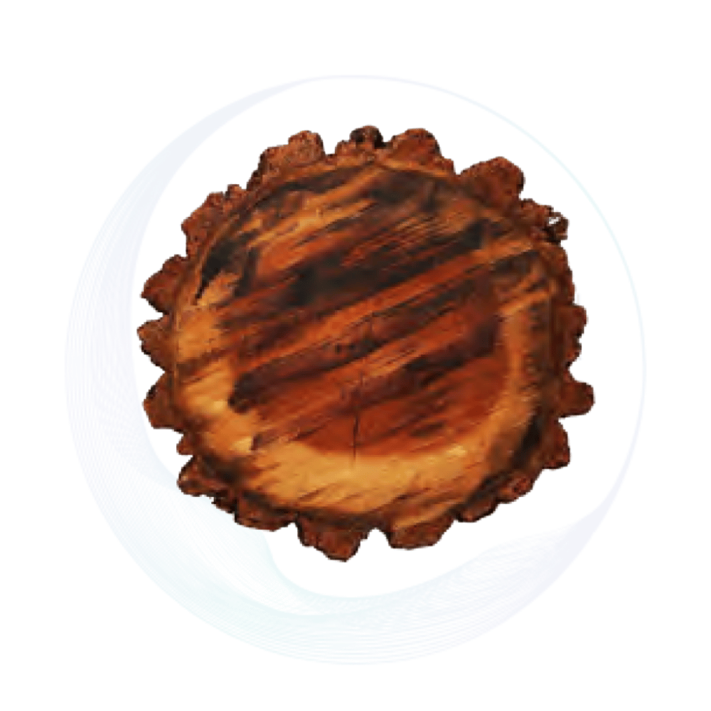 Brown wood stump underplate, perfect for rustic weddings, natural themed tables, and outdoor event décor