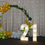 Thumbnail: Fairy Light Curtain - 3mx3m White Curtain Lights