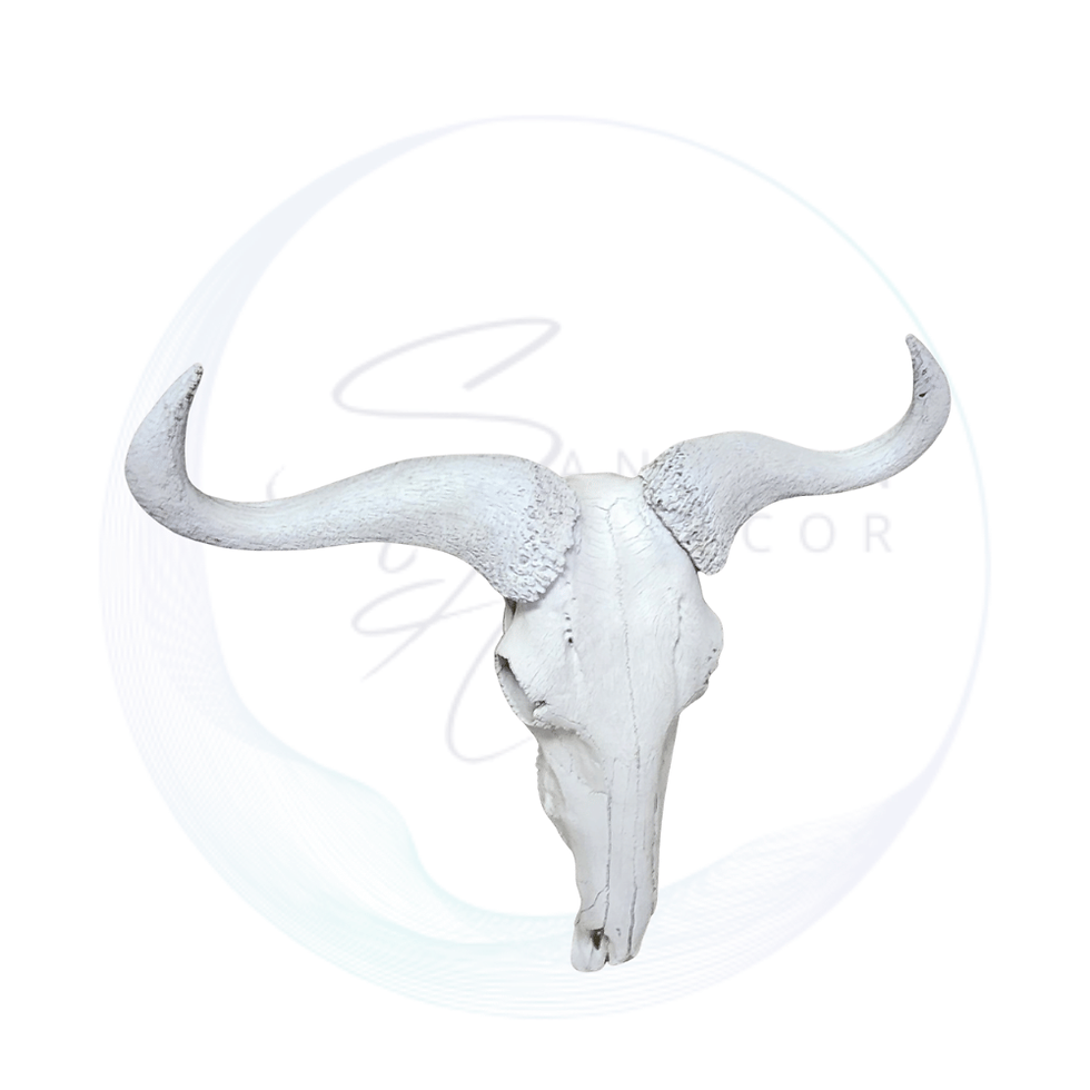 A white animal skull decor, perfect for adding an edgy touch to events.