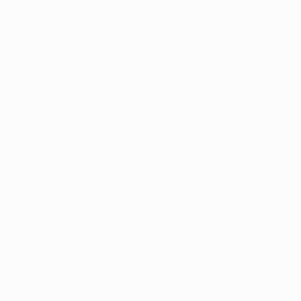 Logo animato Women for Peace & Prosperity