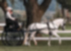 HF Willow winning at Villa Louis Carriage Classic