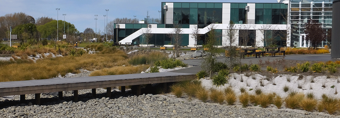 Low-Impact Stormwater Solution, Chch