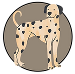 Design ohne Titel (2).png