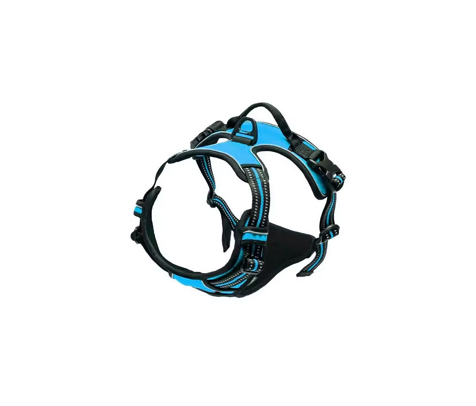 Dog Vest Harness Blue