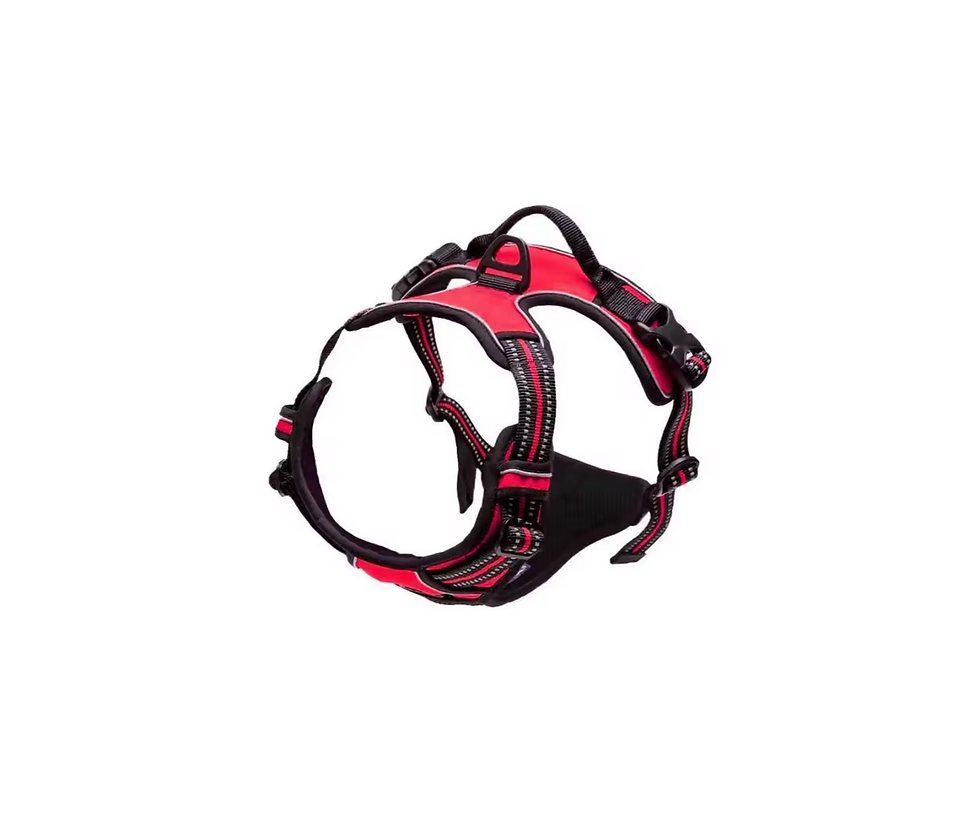 Dog Vest Harness Red
