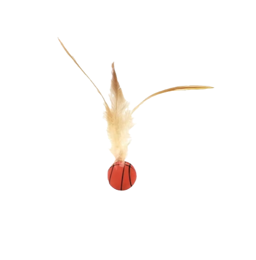 Ball with Feathers "Basketball"