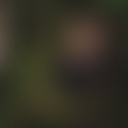 Somatic Therapist Joanna Miller in a black dress stands in a lush forest, surrounded by green leaves and branches. She poses confidently, hand on hip.