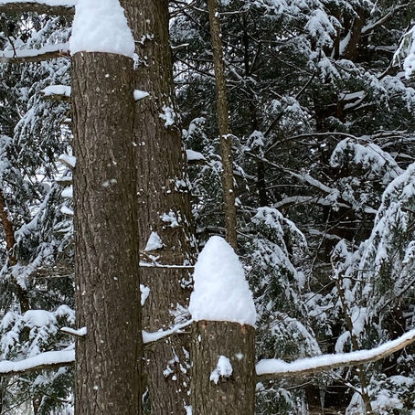 Regarder autrement....