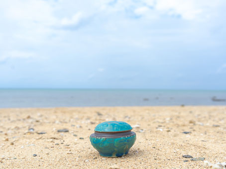 海洋散骨。どこに散骨するの？
