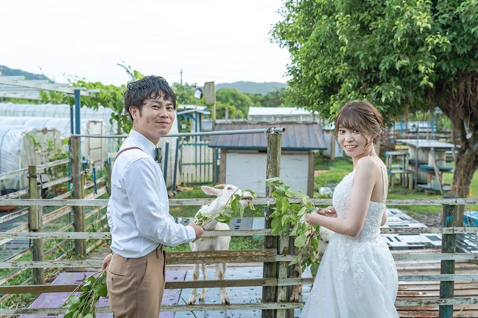 Blue sodaで人気なNoLimitフォトツアー！