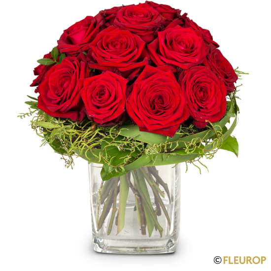 Miniaturbild: Kleine Rosenperle