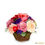 Miniaturbild: Melodie der Farben
