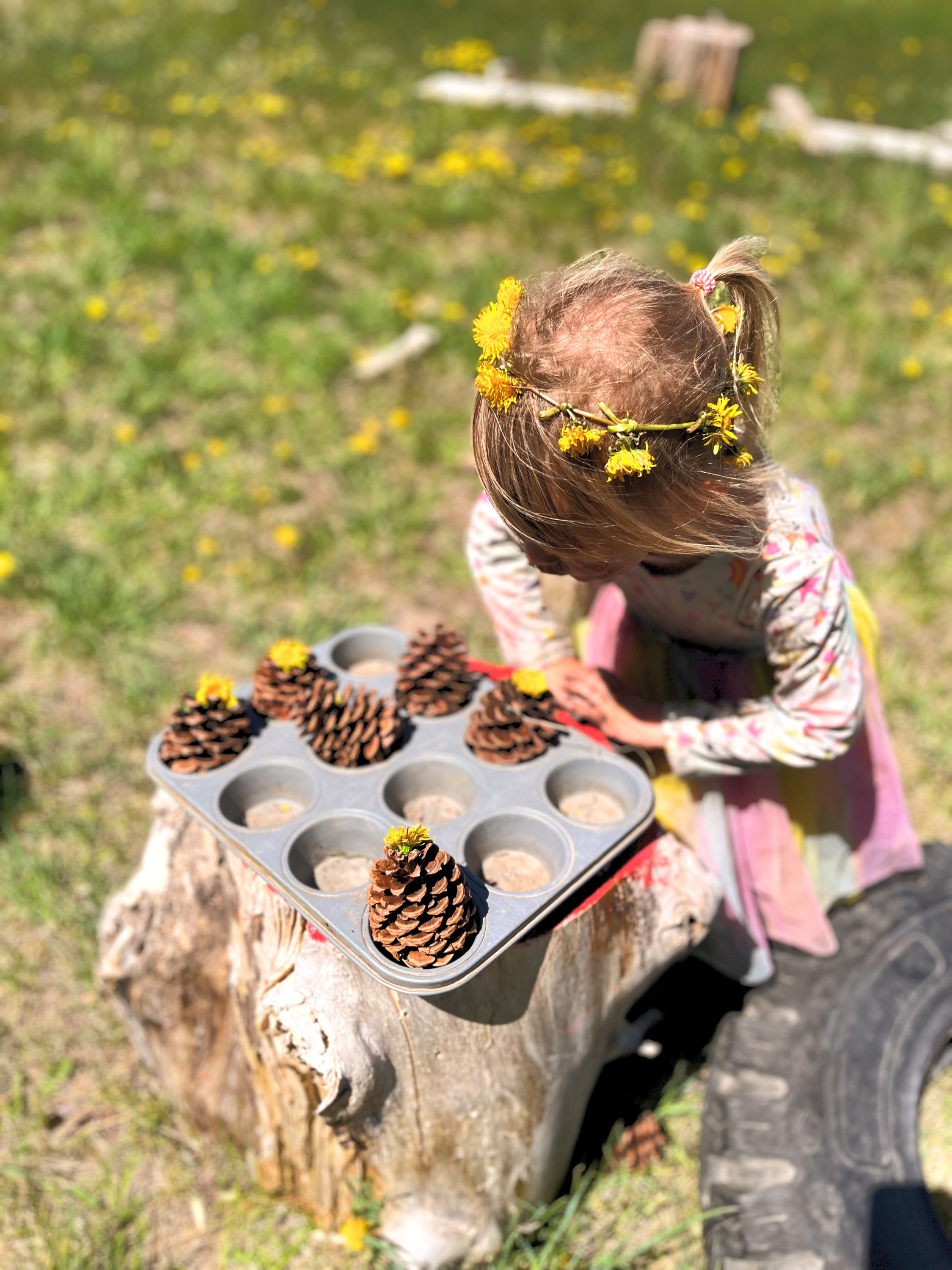 Forest Friends Class Fall 2026