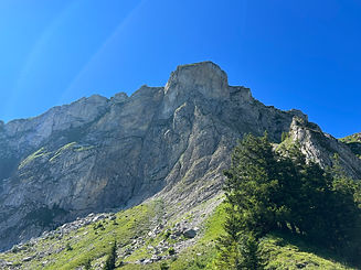 C75DC749-3C5E-427B-856D-750788A05062.jpeg