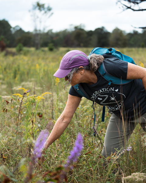 Conservation Pathways - Founder