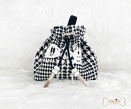 dog glimmer_edited.jpg