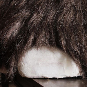 Recreating the Foot of a Wooly Mammoth for Outreach Education