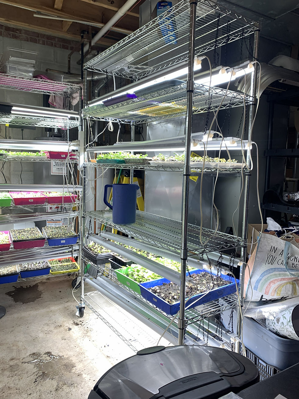 The fifth grow rack is all set up and already in use. Rack number 6 will be built and setup this week!