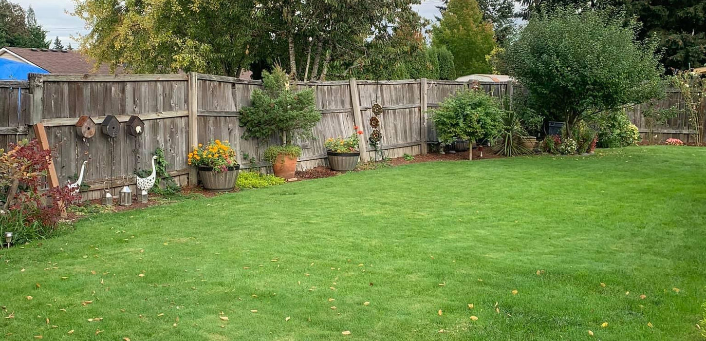 Residential homes old worn out wooden fencing in Beaverton.