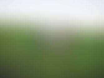 Breaking the Triangulation Pattern: Strategies for Healthy Communication and Connection