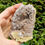 Thumbnail: Raw / Natural Chihuahua Amethyst Geode - 326g - 9cm Longest Length