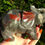 Thumbnail: Large Polished Clear Bloodstone Pyrite Elephant Carving - 919g - 15.5cm Length