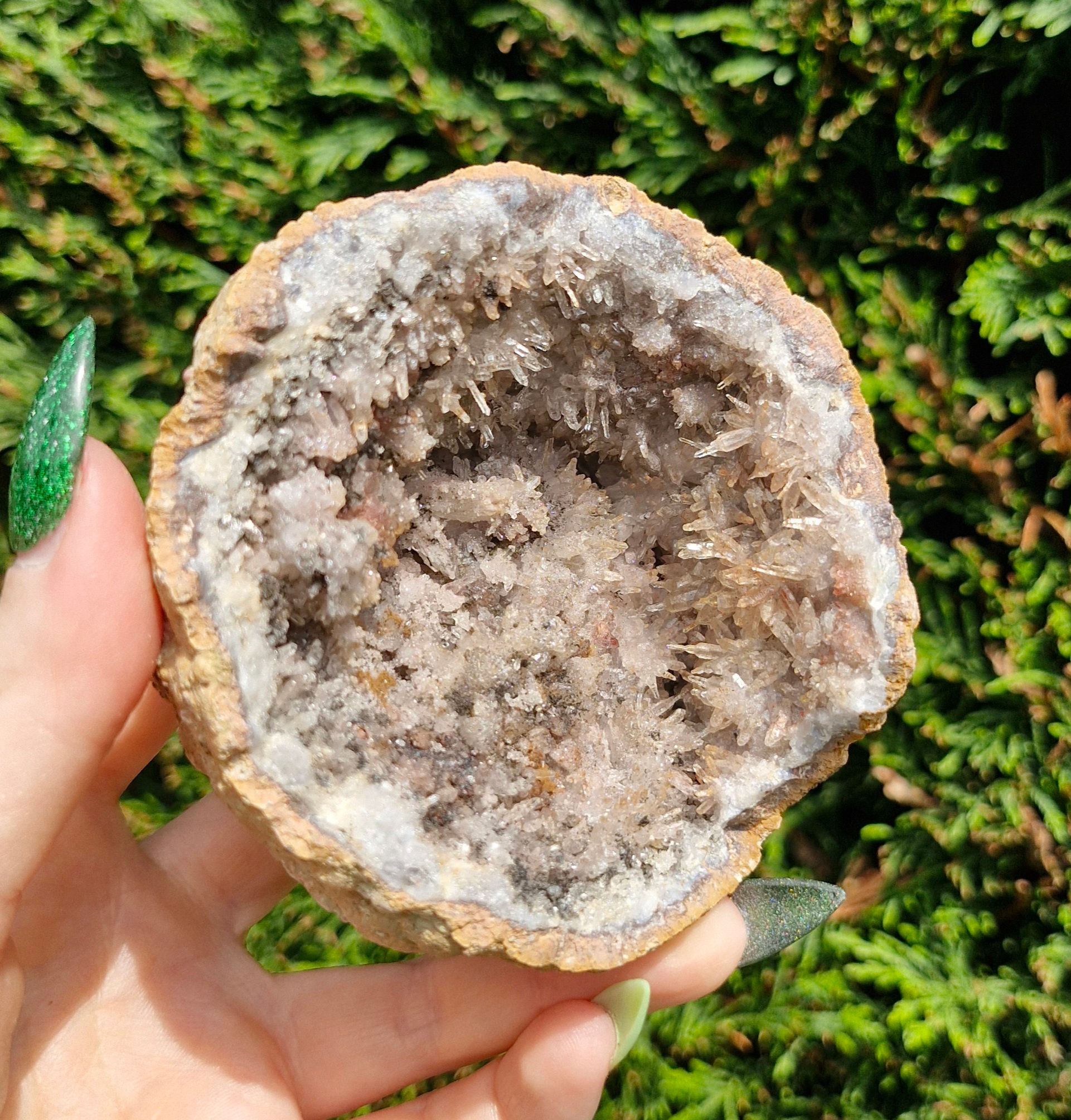 Raw / Natural Chihuahua Amethyst Geode - 313g - 9cm Longest Length