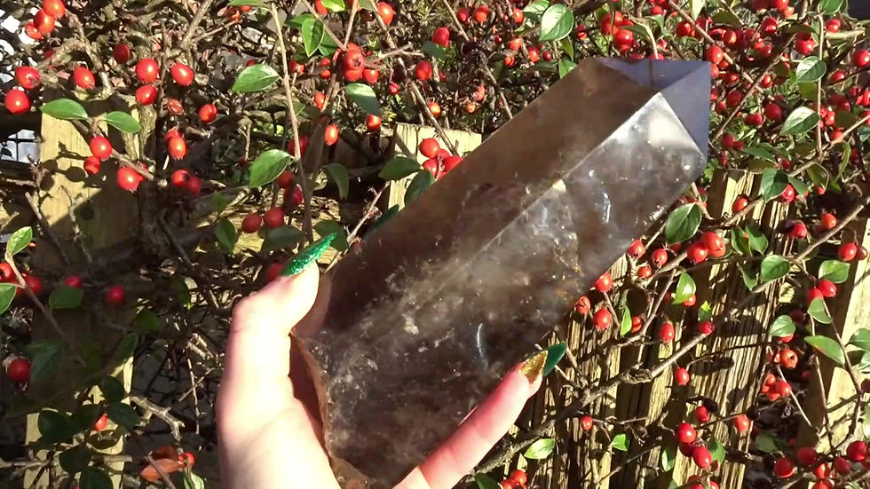 Thumbnail: Large Part Polished Smokey Quartz Root / Point - 1.354kg - 20cm Length