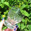 Thumbnail: Medium Cut Glass Whiskey Tumbler - 225g - 9cm Tall