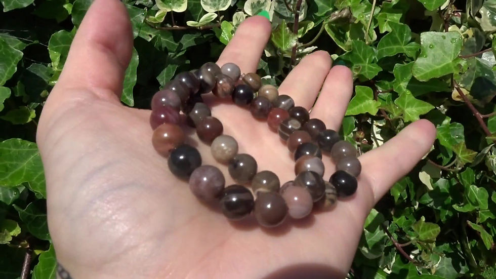 Thumbnail: Polished Banded Petrified Wood Bead Bracelets - 8mm Beads - Intuitively Selected