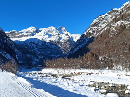 Pista di fondo: CHIUSA