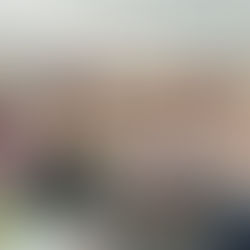 Birmingemā Dzejas dienās 2021 svin Vizmu Belševicu