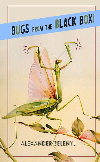 Bugs from the Black Box! Foxhill Press, 2021.