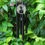Thumbnail: Shiva Bagua Good Luck and Abundance Mobile Wind Chime