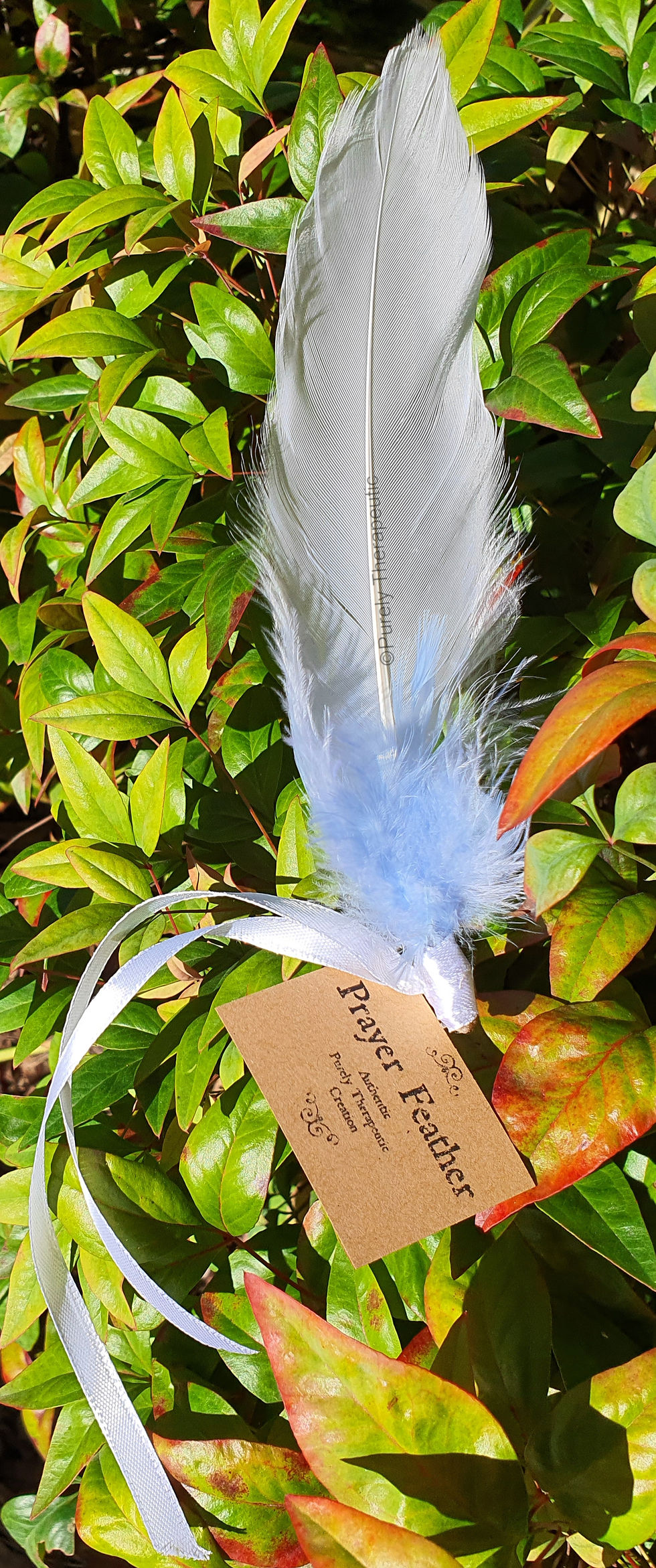 White and Blue Prayer Feather