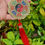 Thumbnail: Feng Shui Bagua Mirror for good luck