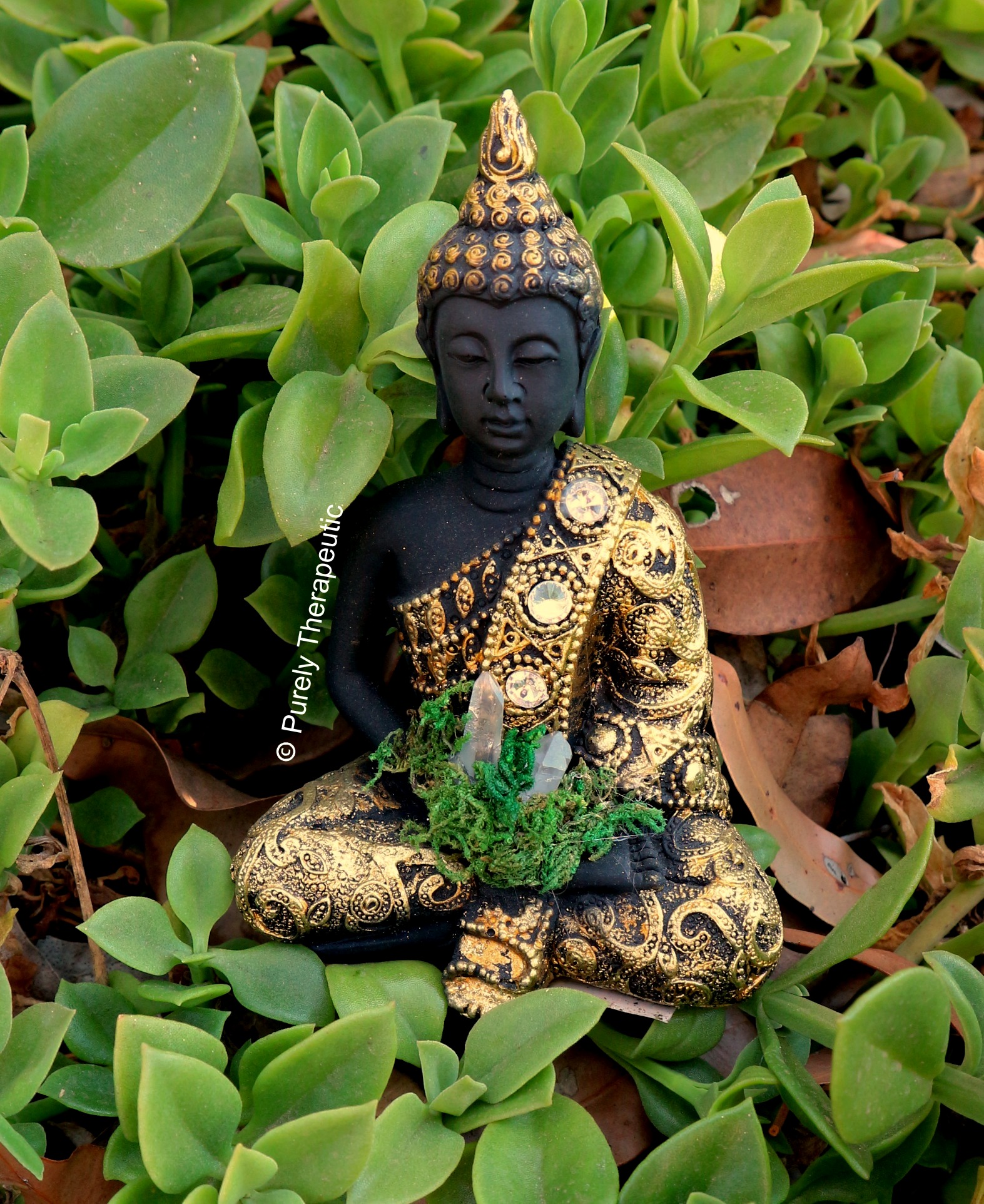 Buddha & Feng Shui Varieties