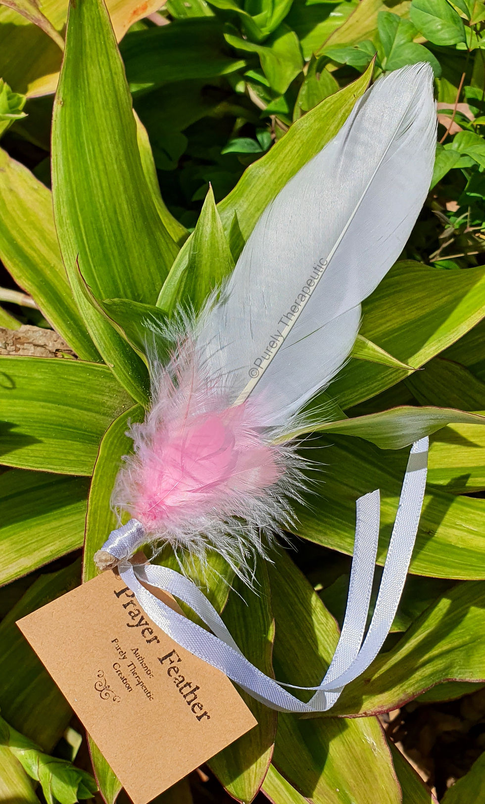 Pink and White Prayer Feather