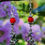 Thumbnail: Witch Earrings with Red Coral handmade by Purely Therapeutic